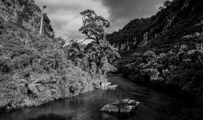 New Zealand, Jungle River