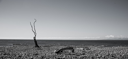 New Zealand, Golden Bay, Southern Island