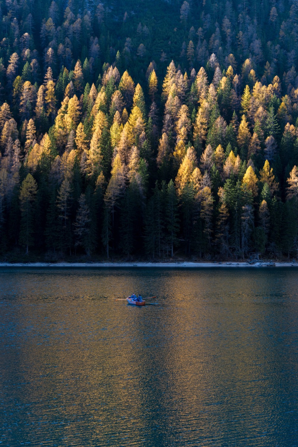 Italy, Rowing