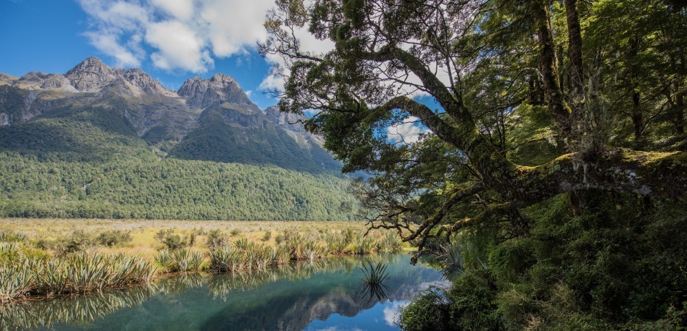 New Zealand, Mirror Lake